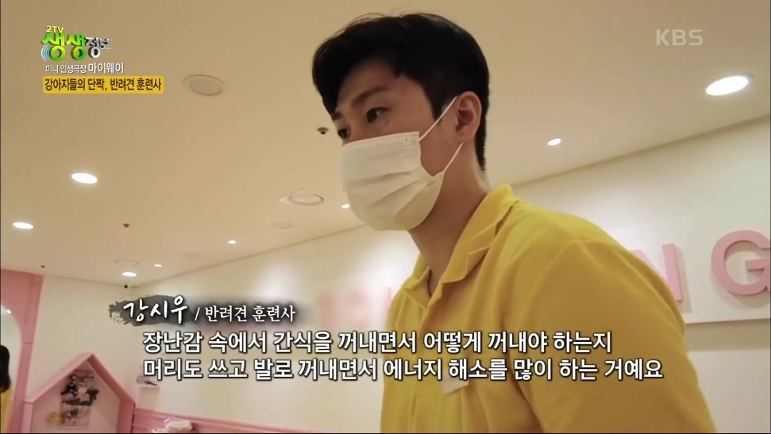 강아지 유치원.jpg | 인스티즈