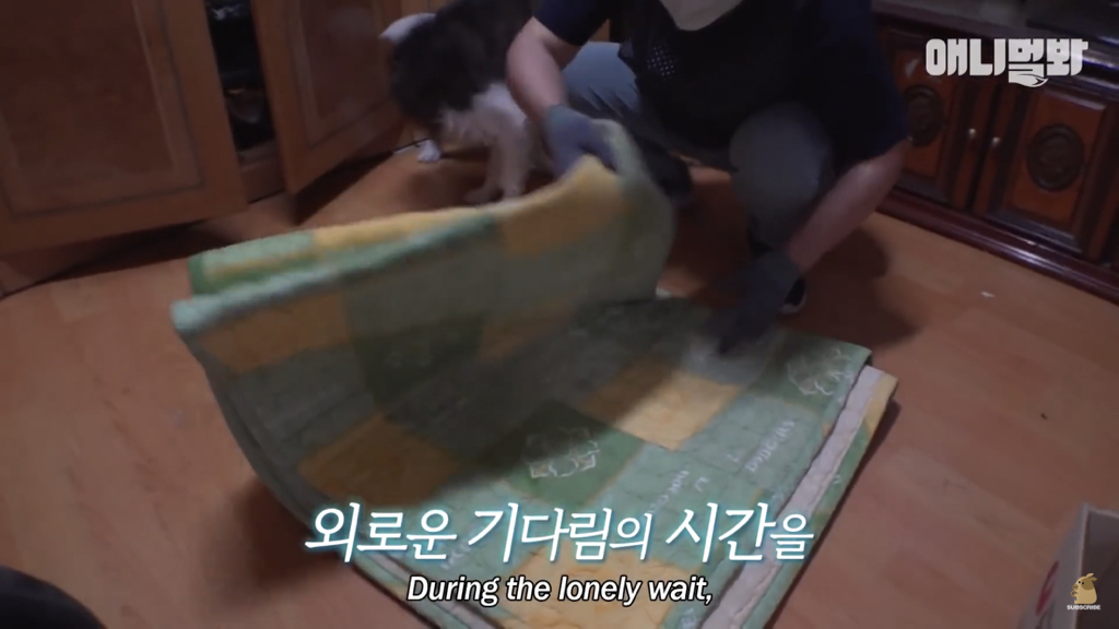 1년만에 자신을 두고 간 주인을 만난 강아지 반응 | 인스티즈