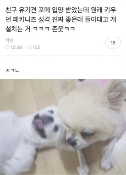 웃고 가는 달글 7 | 인스티즈