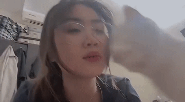 고양이한테 과한 관심을 받고 있는 집사 | 인스티즈