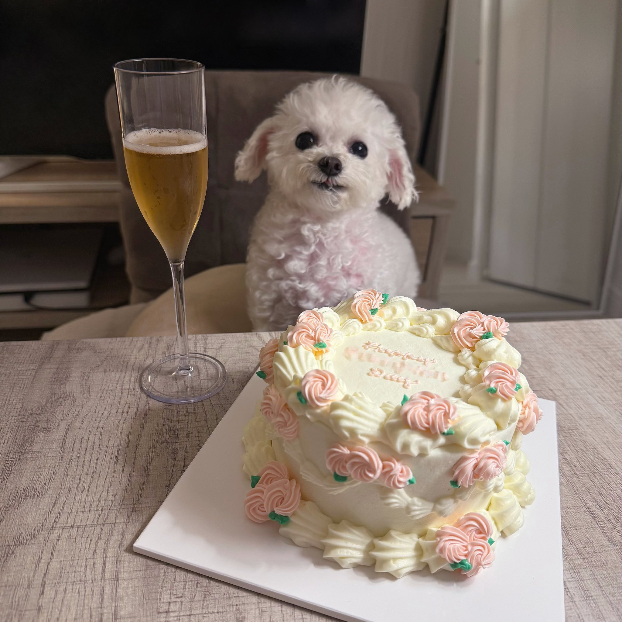 반려견과 함께 밥먹는 사진으로 화제된 트위터 계정.jpg | 인스티즈