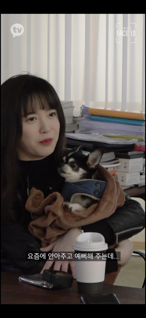 [페이스아이디] 순대가 하늘에서 구름밟고 떨어졌으면 좋겠어 다시 키우게 .. (별이 된 구혜선 반려견) | 인스티즈