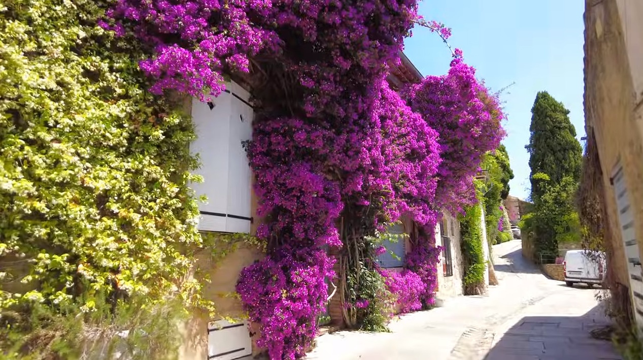 꽃이 만발한 프랑스의 아름다운 마을 | 인스티즈