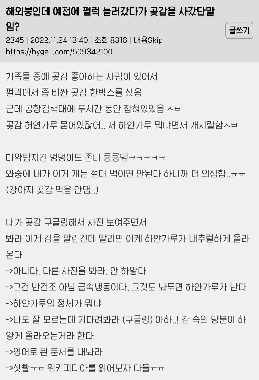 곶감 때문에 해외공항에서 걸린 한국인 | 인스티즈
