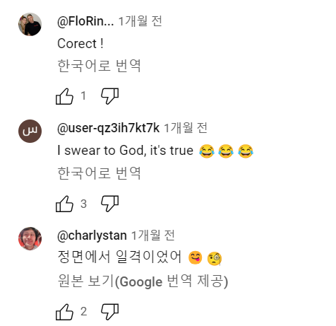 유튜브 까마귀 영상에 달린 댓글 하나로 이루어진 세계통일 | 인스티즈