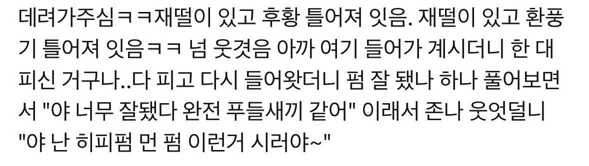 매콤한 한국 미용실 체험 썰 .twt | 인스티즈