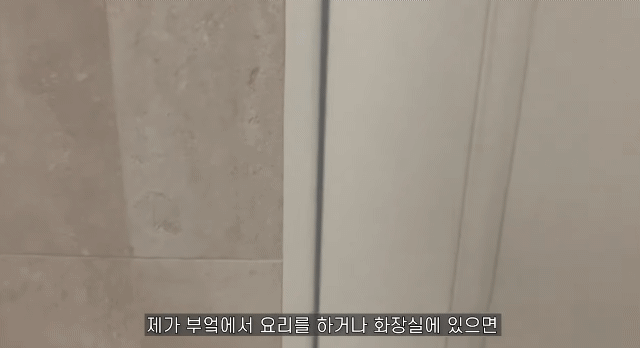 유기견 입양전후 변화. 겁많은 강아지의 100일간 브이로그 | 인스티즈