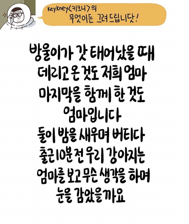 하늘나라에 있는 엄마가 무슨 생각할지 그림으로 그려주세요.jpg | 인스티즈