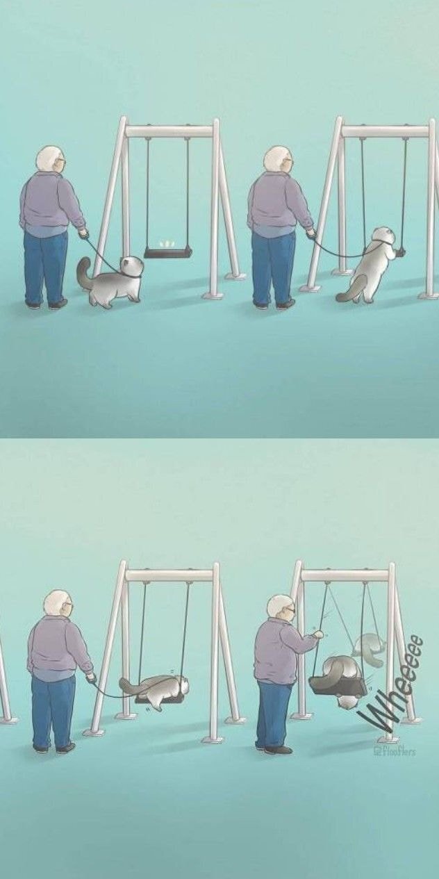 고양이 산책시키다가 그네 태워주는 할아버지.jpgif | 인스티즈