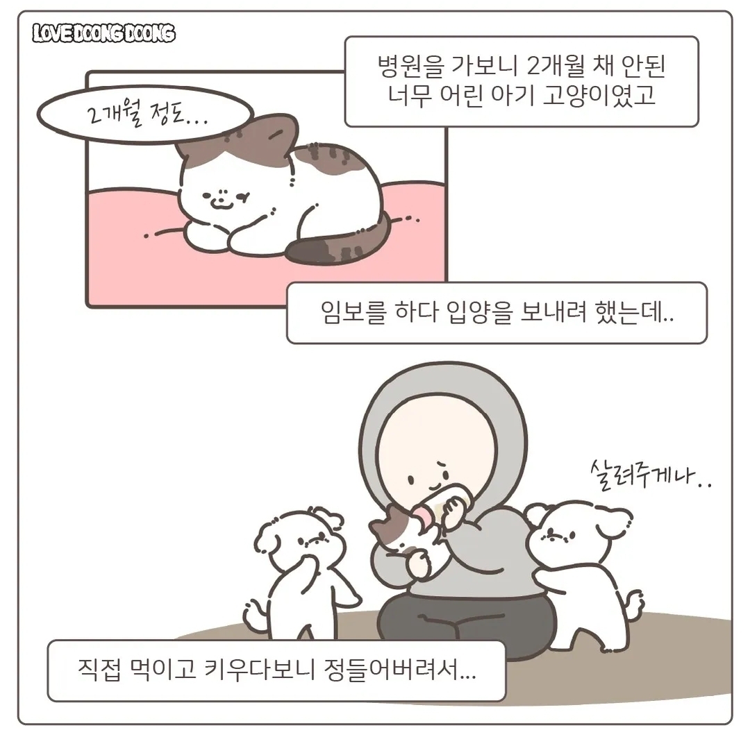 주방 싱크대 뒷편 호스에 매달려있다가 구조된 아기 고양이.jpg | 인스티즈