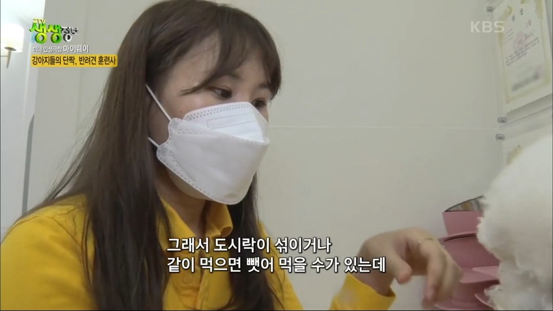 강아지 유치원.jpg | 인스티즈