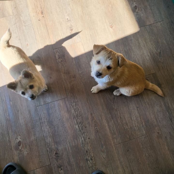 (공지라니... ++추가)새로생긴 회사 복지.. 미쳐서 도저히 일을 못하겠네.. (추가....)++추가 | 인스티즈