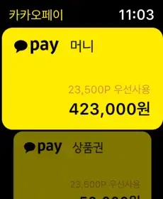 애플워치에서 결제하기 지원시작한 카카오페이 | 인스티즈