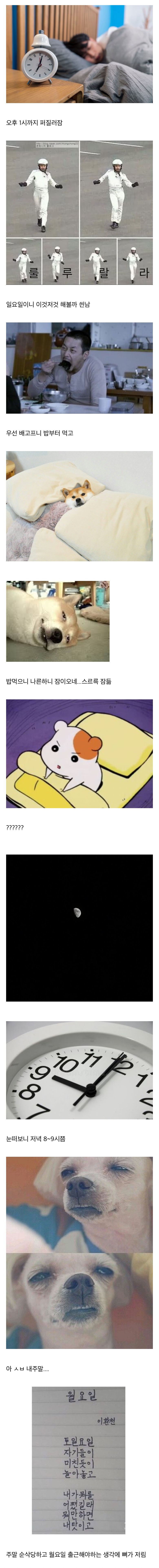 직장인들 일요일 주말 현타올때.jpg | 인스티즈