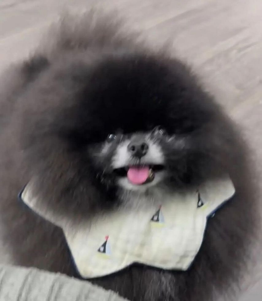 정체불명의 외눈박이 생물체.jpg | 인스티즈