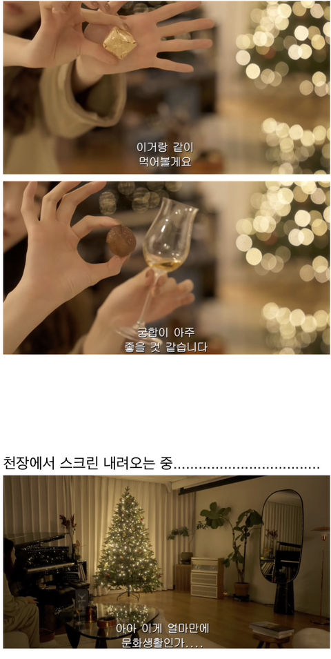 요즘 제일 부러운 싱글 여성의 삶.jpg | 인스티즈