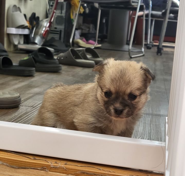 (공지라니... ++추가)새로생긴 회사 복지.. 미쳐서 도저히 일을 못하겠네.. (추가....)++추가 | 인스티즈