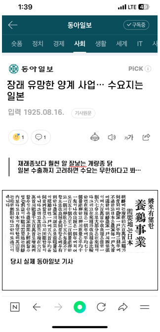 일제강점기때부터 '꿩 대신 닭' | 인스티즈