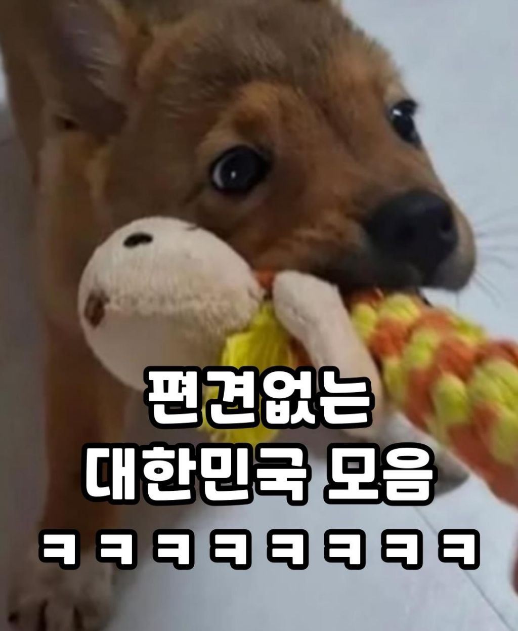 편견없는 대한민국 모음 | 인스티즈