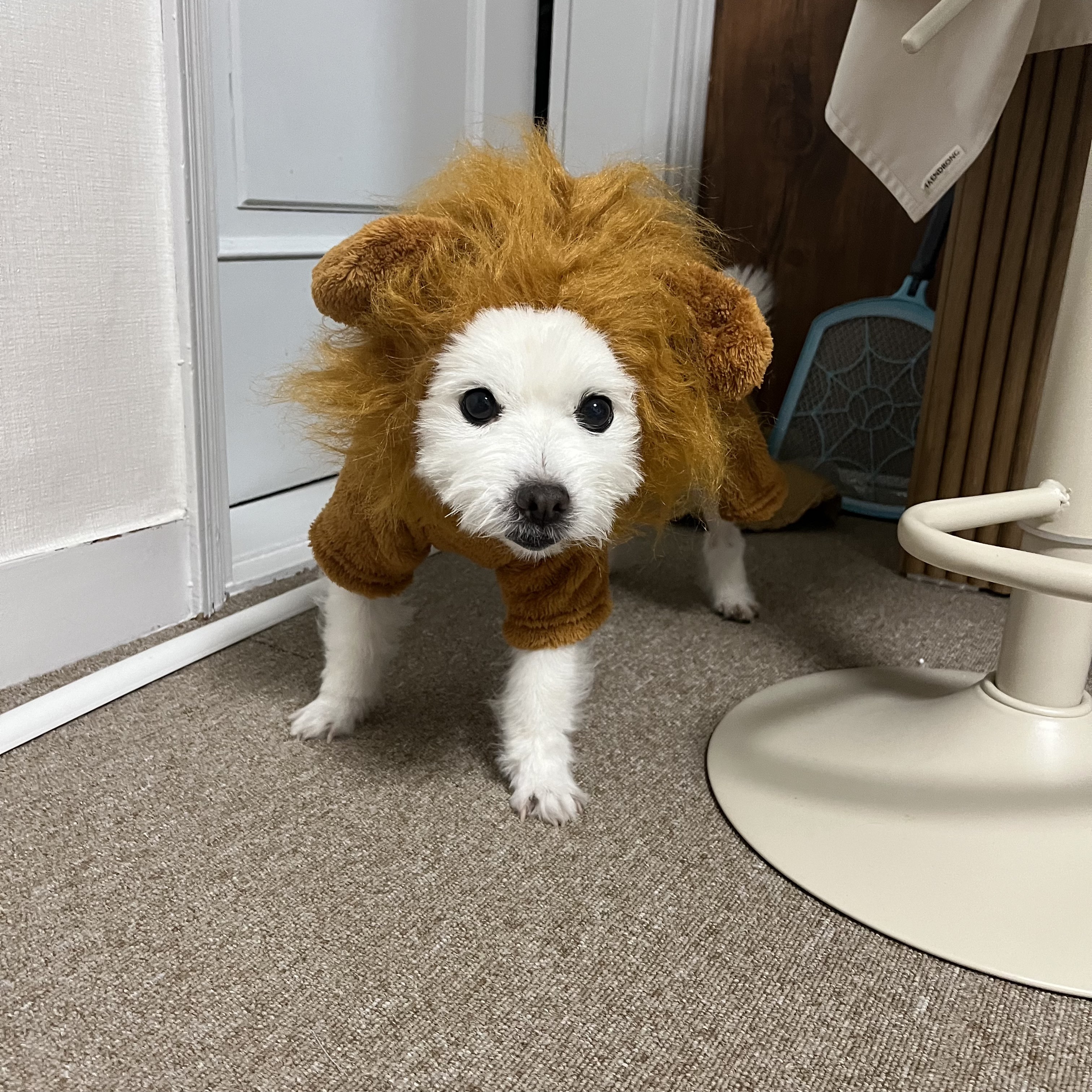 당근에서 폐점하길래 애기 옷샀는데 모자 진심이야,,,? | 인스티즈