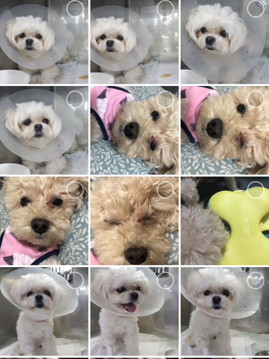 이 사진 너무 신기하지 | 인스티즈