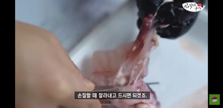 아귀 알인줄 알았는데 알고보니 기생충?.youtube | 인스티즈