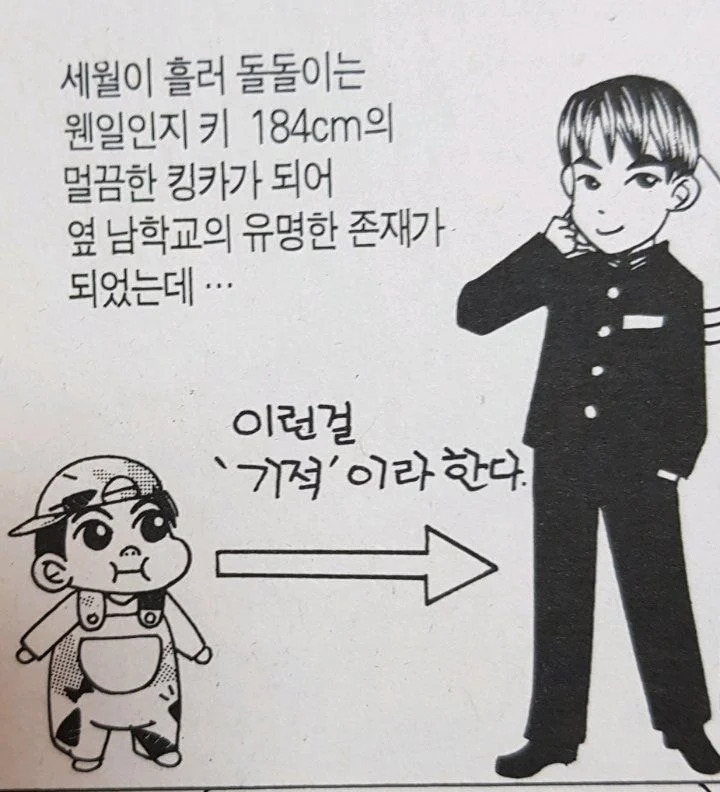 돌돌이 이미지