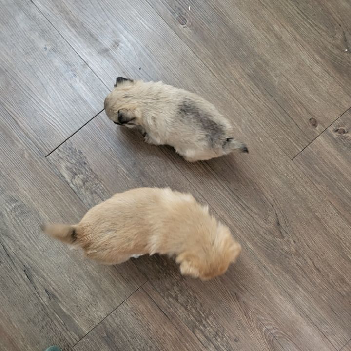 (공지라니... ++추가)새로생긴 회사 복지.. 미쳐서 도저히 일을 못하겠네.. (추가....)++추가 | 인스티즈