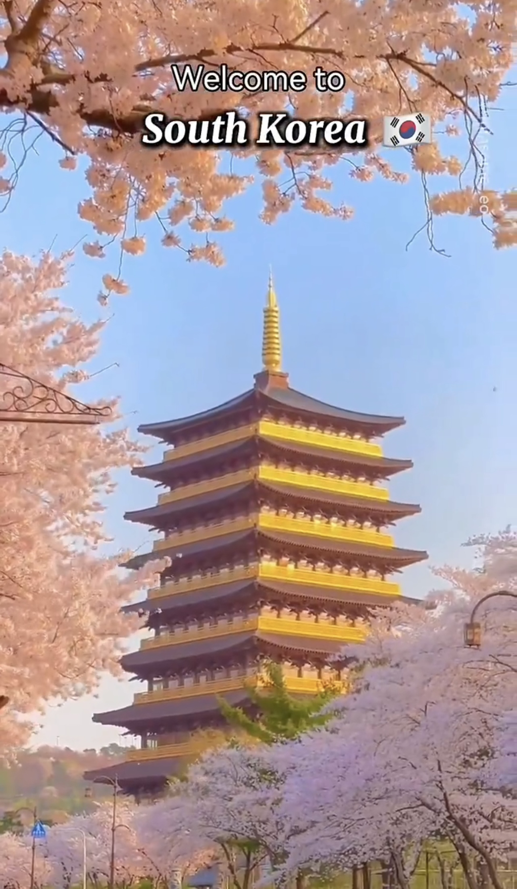 트위터에서 화제되었던 외국인이 소개하는 한국의 관광 여행지들 | 인스티즈