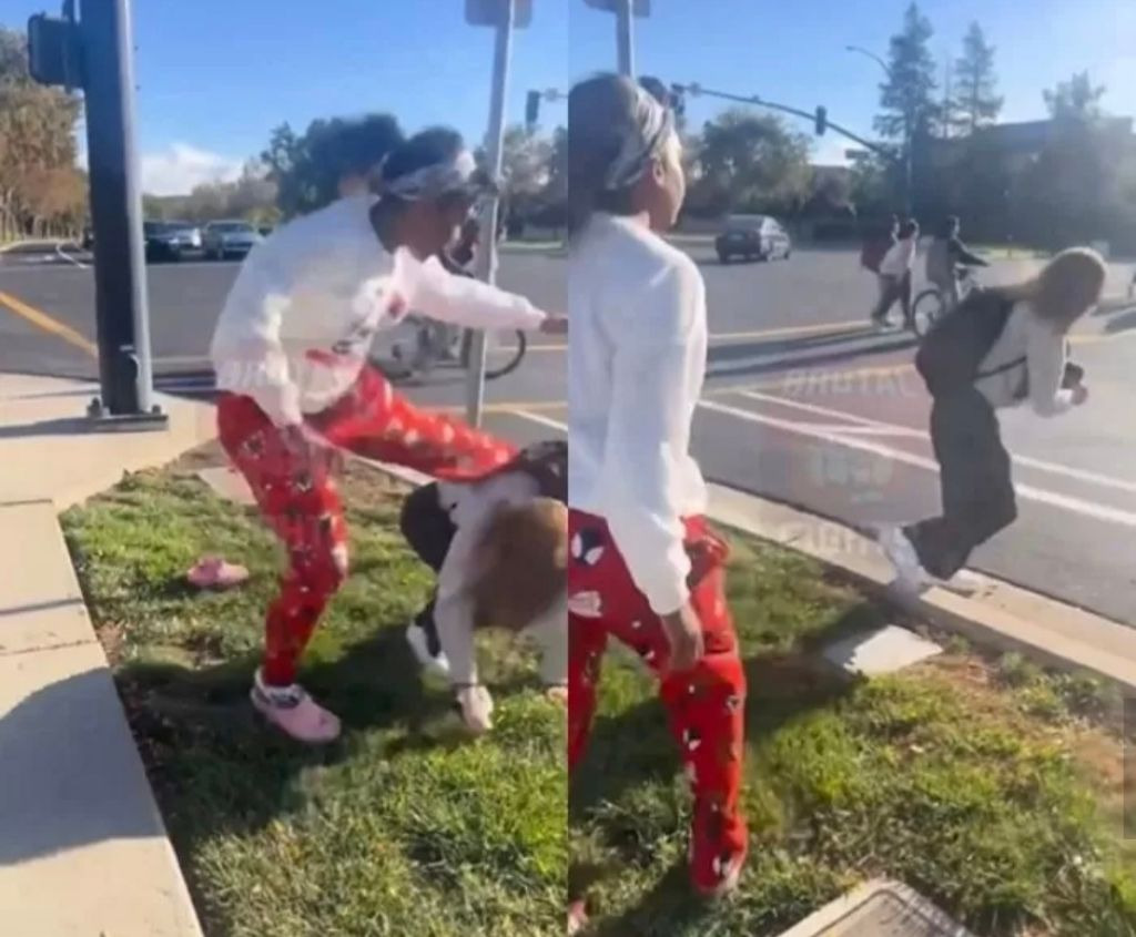 왜소한 동양인 쫓아다니며 괴롭히는 백인 여학생 '주먹'으로 참교육 대신해 준 흑인소녀 | 인스티즈