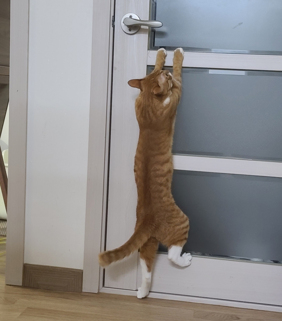 가... | 인스티즈