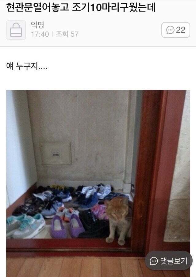 아빠가 개새랑 외출했다고 사진 보내줌 | 인스티즈