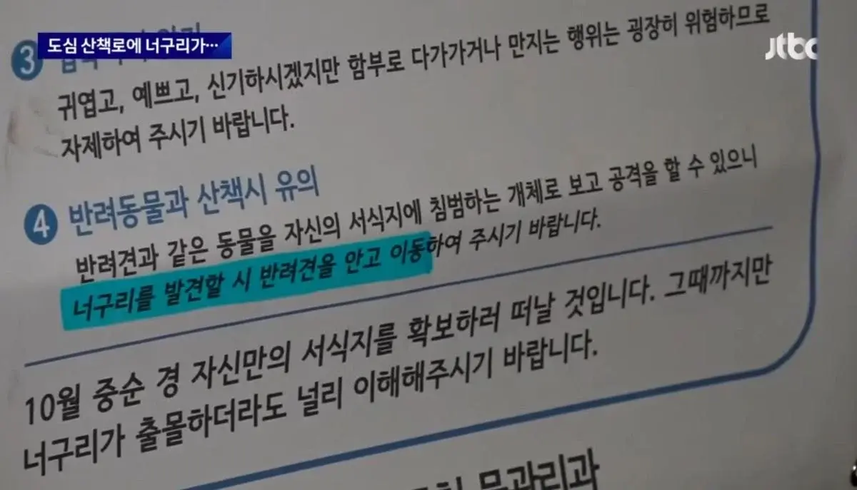 산책로에서 너구리를 만나면 강아지를 바로 안아들어야함 | 인스티즈