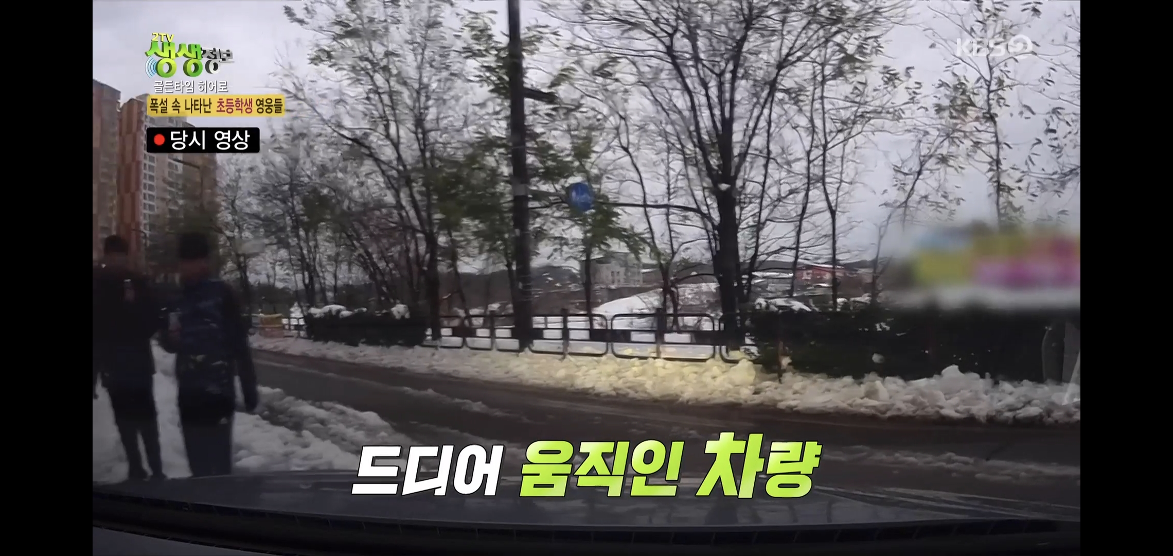 방금 생생정보통에 저번 폭설에 이슈였던 여시 나옴.jpg | 인스티즈