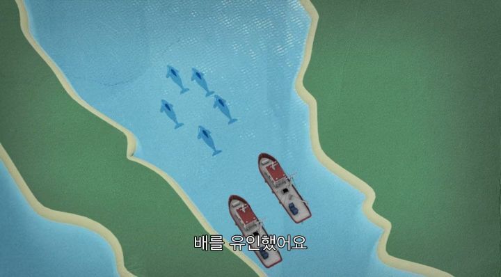 어느날 소방서에 고래가 조련사를 잡아 먹었다는 신고가 들어왔다 .jpg (스압주의) | 인스티즈