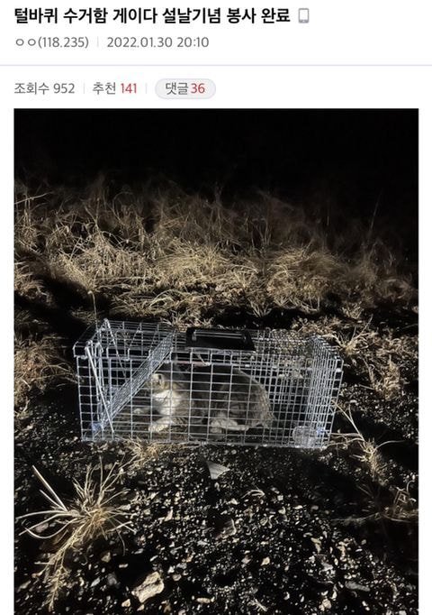 디씨인사이드 야옹이 갤러리 역대만행정리 (잔인함 주의) 사진 | 인스티즈