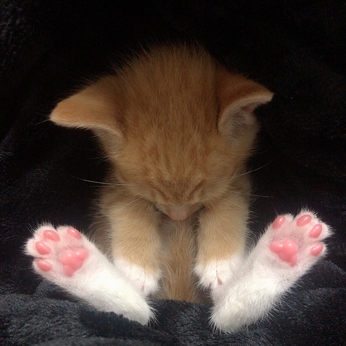 가... | 인스티즈