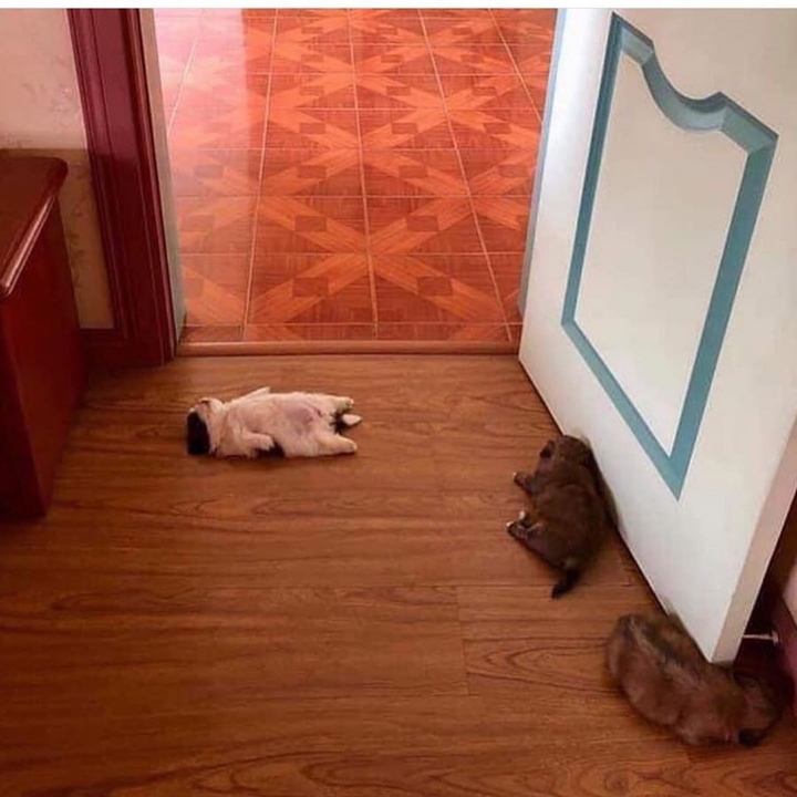 f8485806d78774d0074a6bf1a27bec889c35fb78