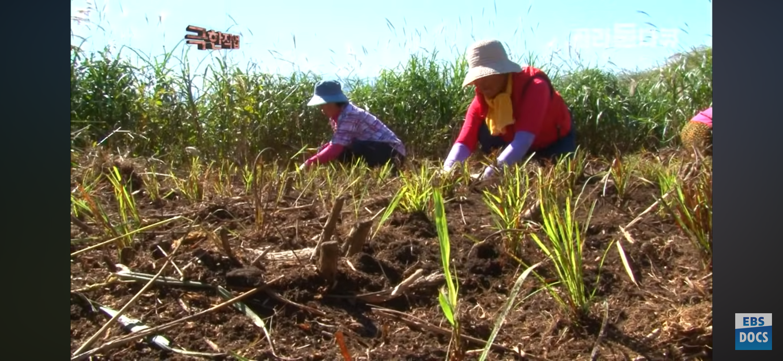 등산로, 어떻게 만들까?.jpg | 인스티즈