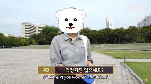 돌멩이를 물고 다니는 강아지 | 인스티즈