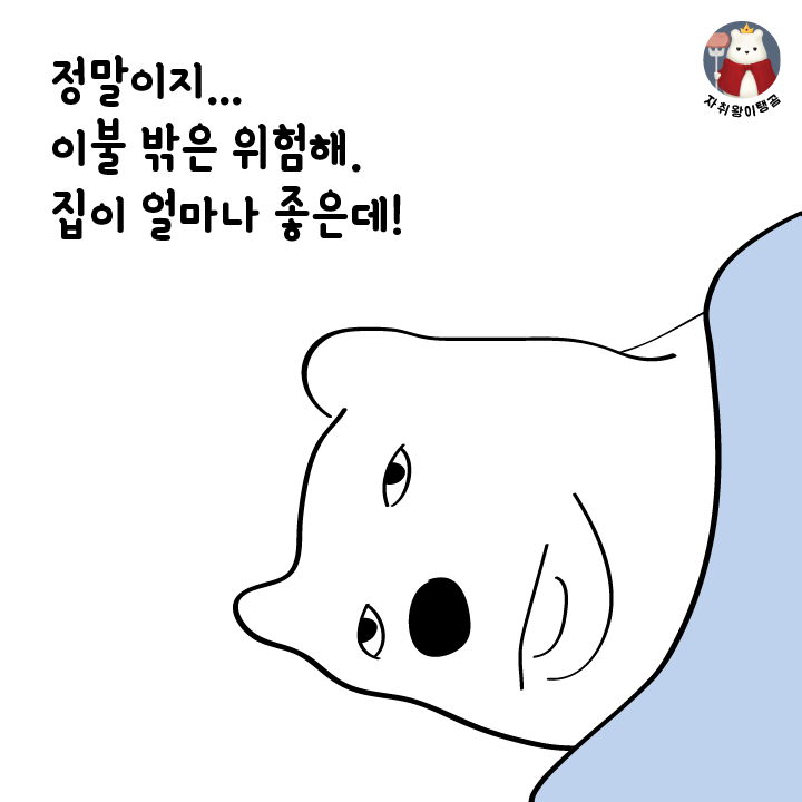 두 가지로 나뉘는 집순이 유형 | 인스티즈