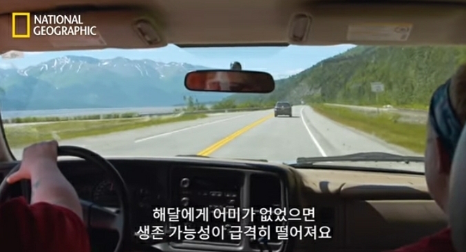 어미잃은 생후 1일차 새끼 해달 구하기 | 인스티즈