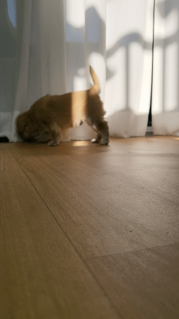 (공지라니... ++추가)새로생긴 회사 복지.. 미쳐서 도저히 일을 못하겠네.. (추가....)++추가 | 인스티즈