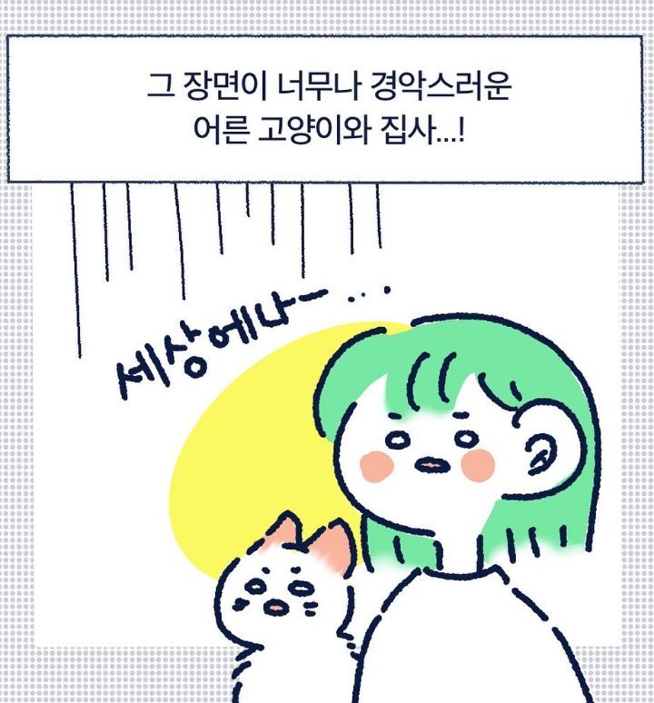 아깽이들은 왜...? | 인스티즈