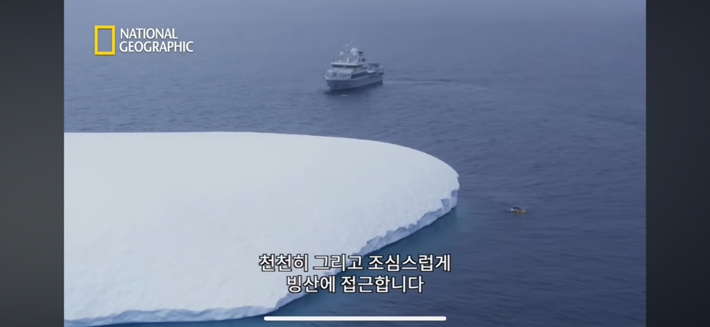 대왕오징어를 찾아라-남극해의 빙산 아래 신비로운 심해 생명체들(심해주의 해산물주의) | 인스티즈