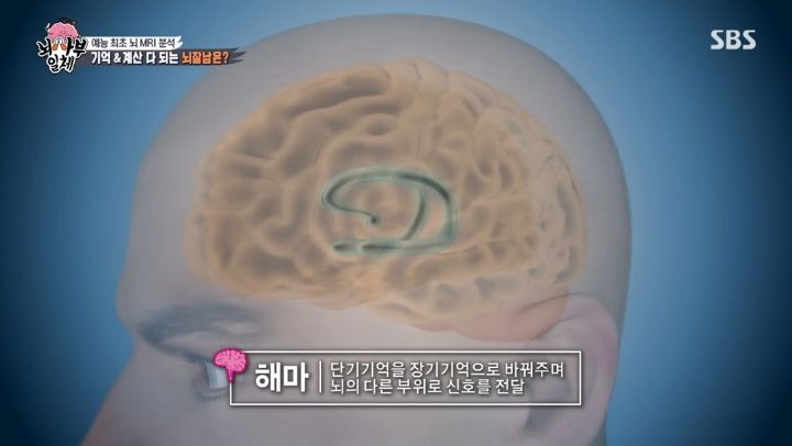 [집사부일체] 최고의 뇌과학자가 분석한 양세형, 리정, 이승기, 유수빈, 김동현 뇌 MRI 결과 | 인스티즈