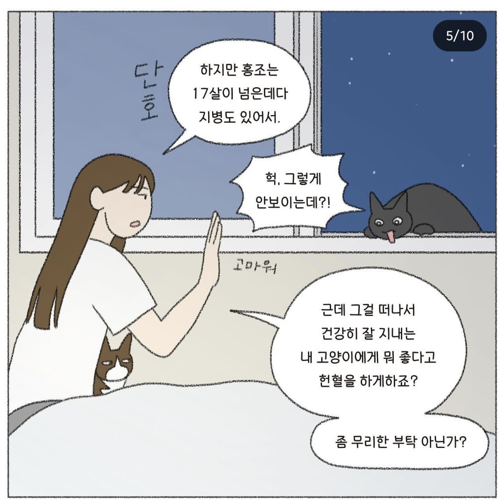 🐱💉고양이도 헌혈을 한다고? | 인스티즈