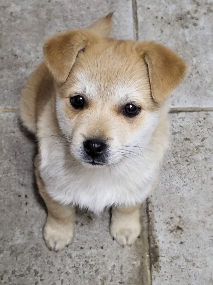 (공지라니... ++추가)새로생긴 회사 복지.. 미쳐서 도저히 일을 못하겠네.. (추가....)++추가 | 인스티즈