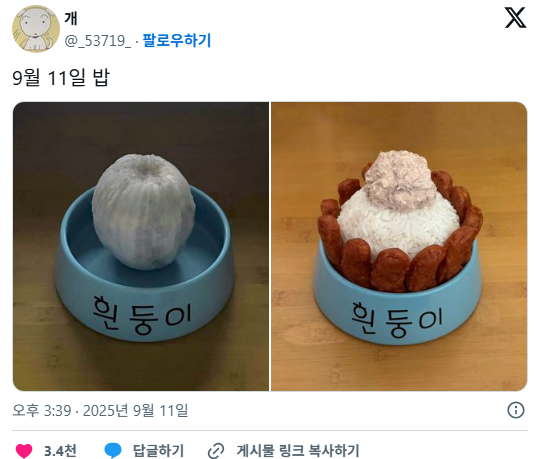 요새 트위터에서 화제 중인 식단 계정...... | 인스티즈