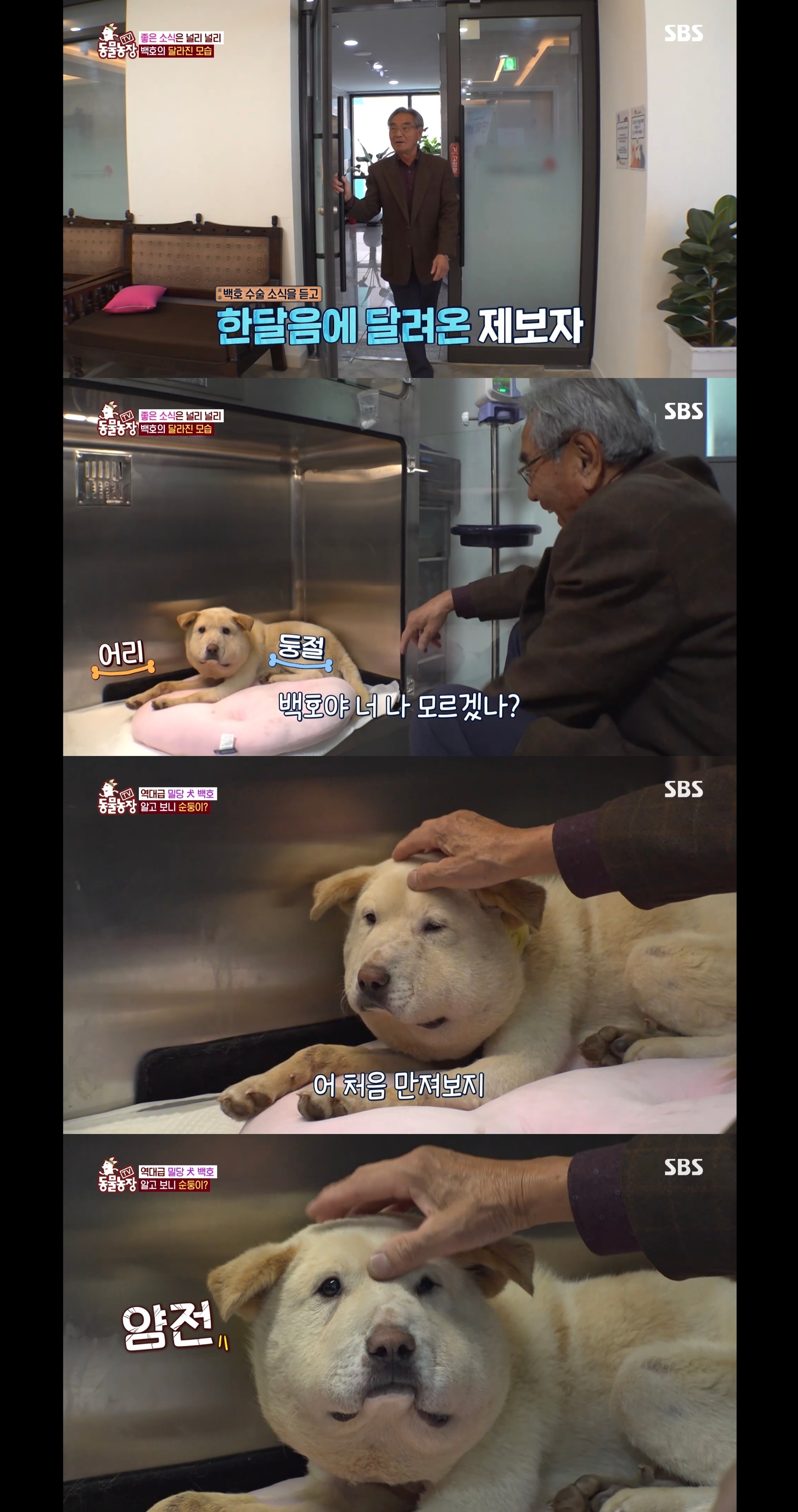 개가 너무 똑똑해서 역대급으로 구조 힘들었던 이번주 동물농장 방송.jpg | 인스티즈